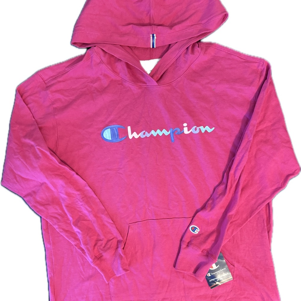Champion Pink Hoodie Sweatshirt